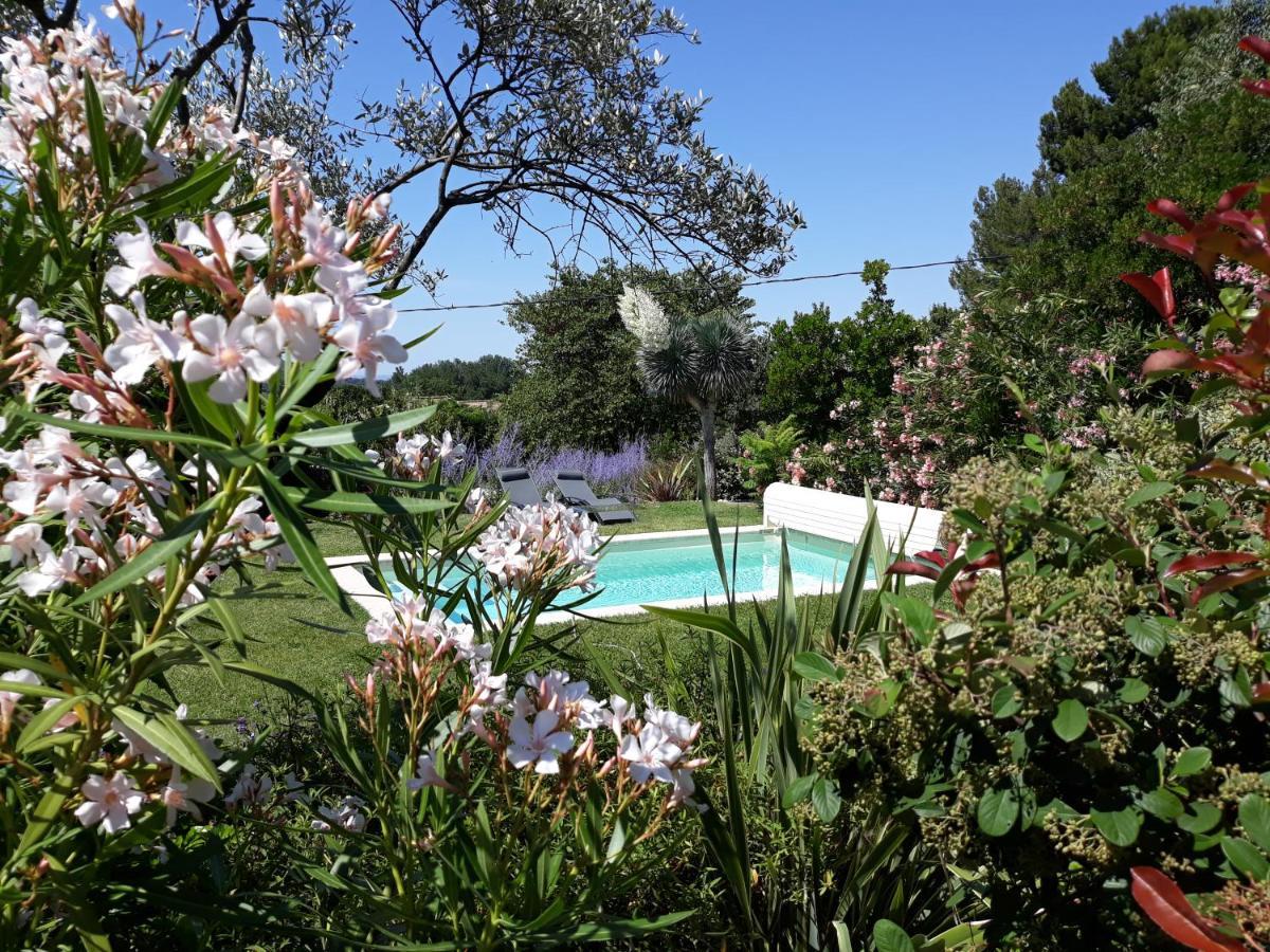 Parfums De Provence "Le Lavandin" Piscine Chauffee & Spa Vaison-la-Romaine Exterior photo